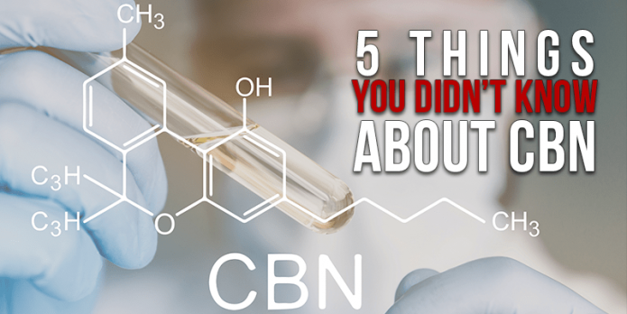5 Things You didnt Know About CBN